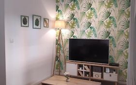 Green Serenity Apartment